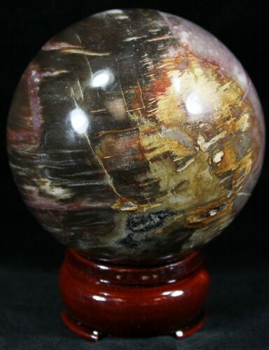 Colorful Petrified Wood Sphere #26618